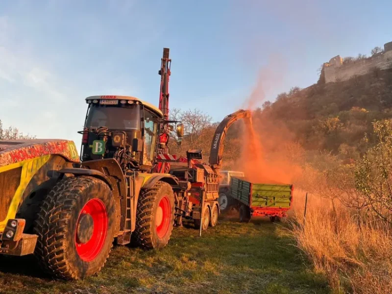 Holz Hacken Berthold 6