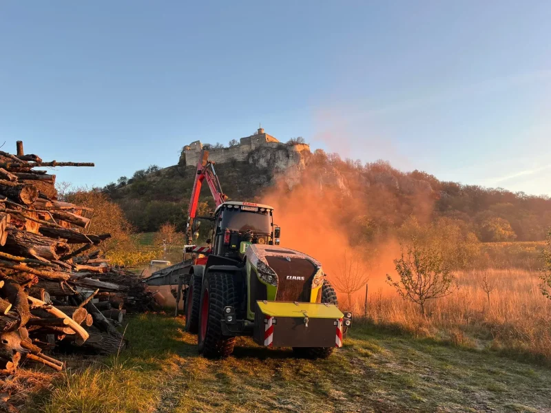 Holz Hacken Berthold 7